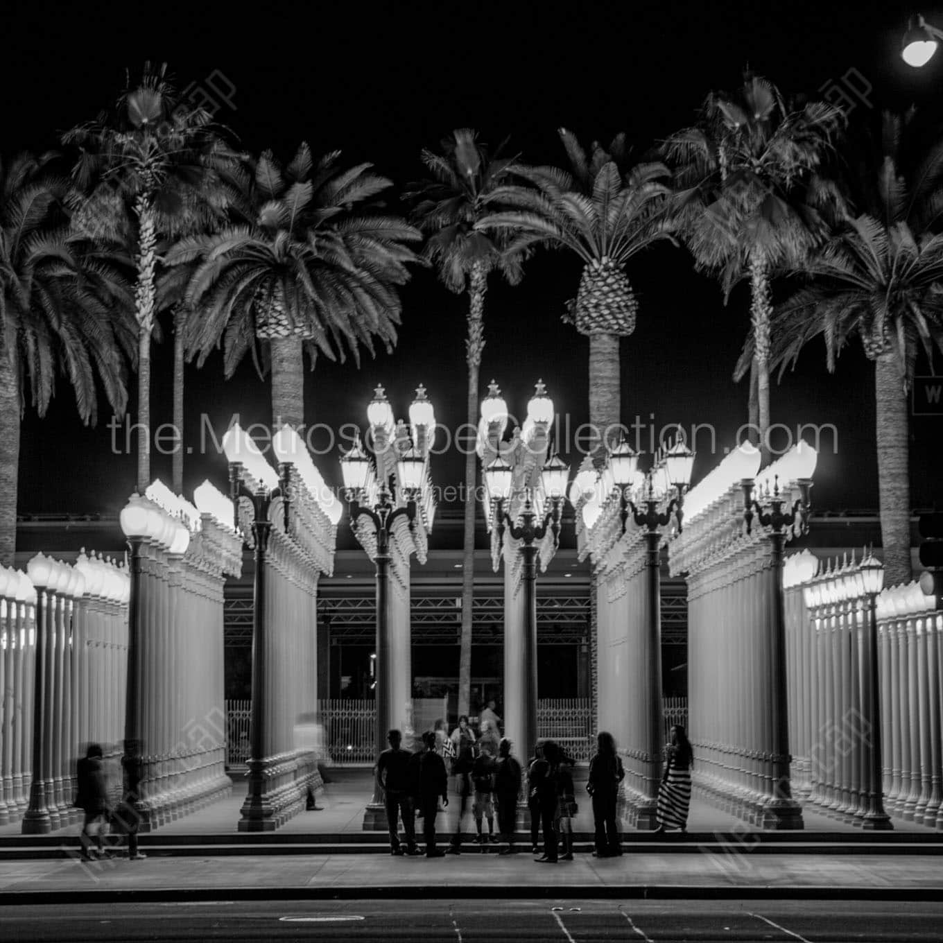 lacma lamps at night wilshire blvd Black & White Office Art