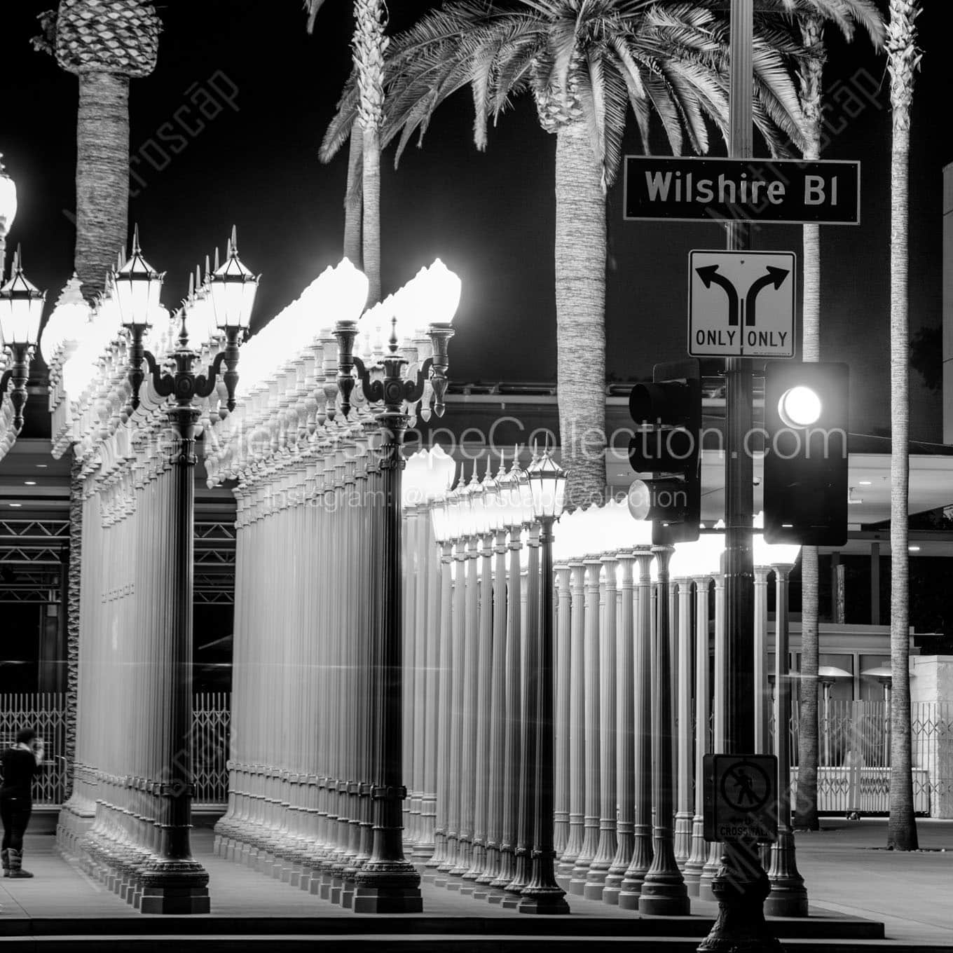 lacma lamps on wilshire blvd Black & White Office Art