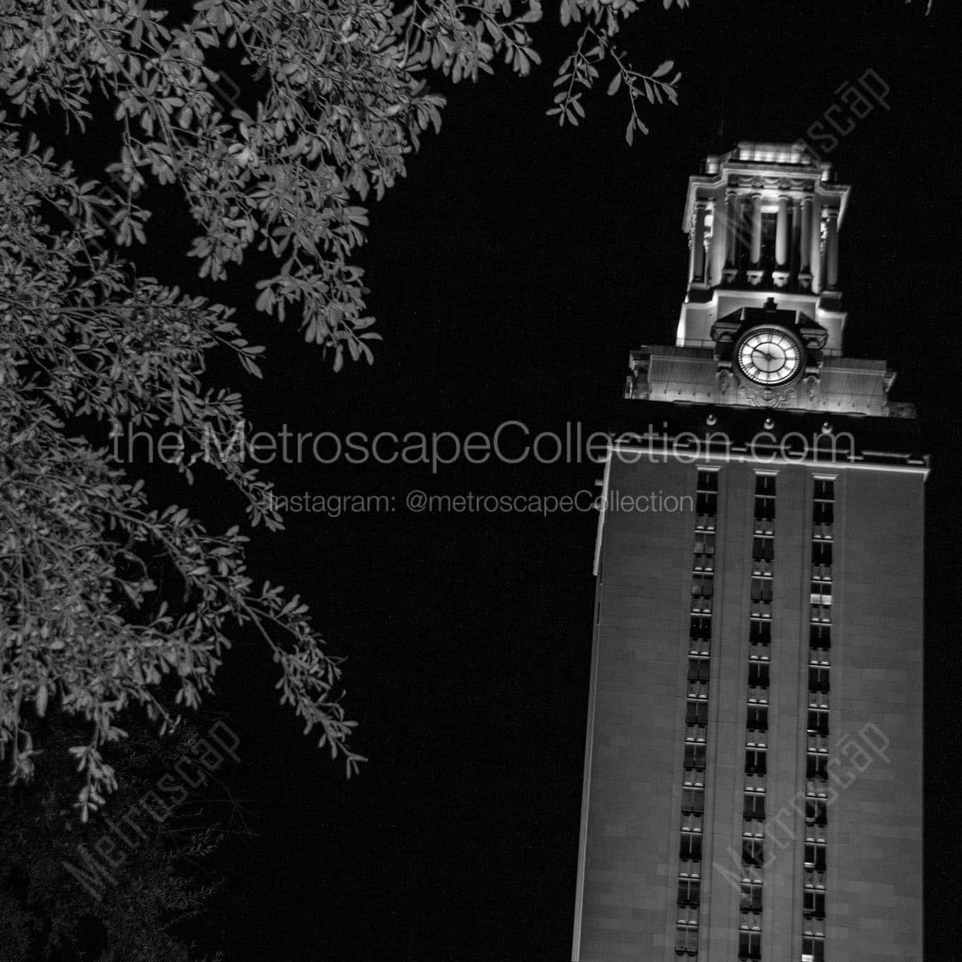ut tower at night Black & White Office Art