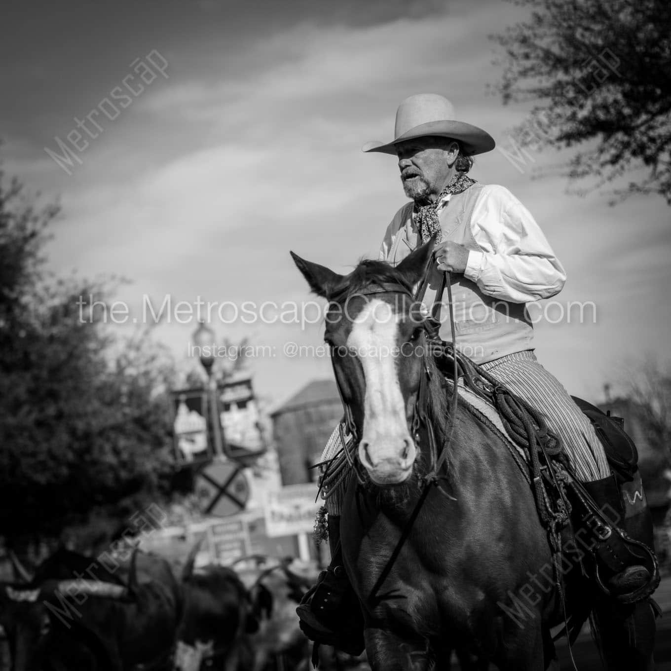 a fort worth tx cowboy Black & White Office Art