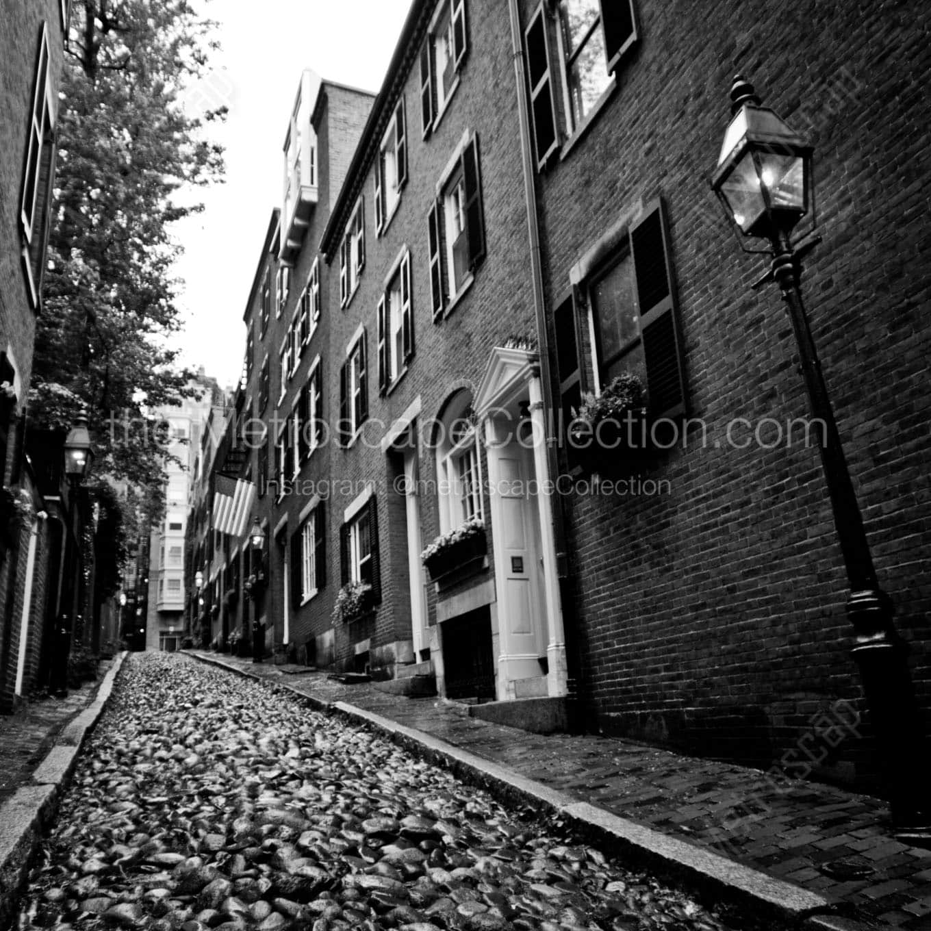 acorn street beacon hill Black & White Office Art