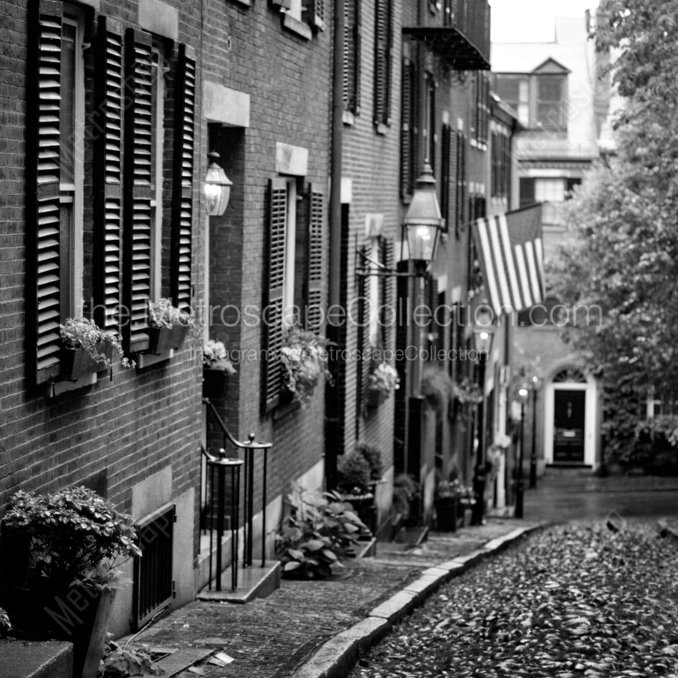 acorn street beacon hill downhill Black & White Office Art