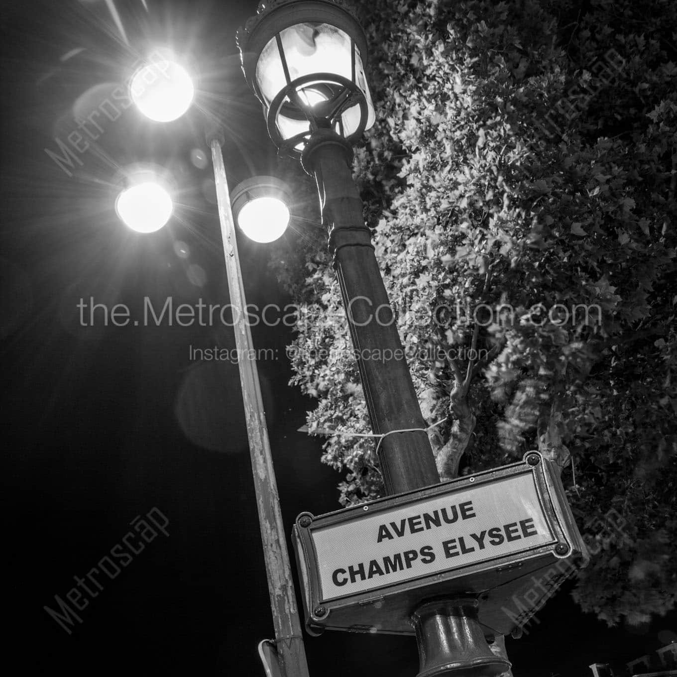 avenue champs elysee lamp post Black & White Office Art