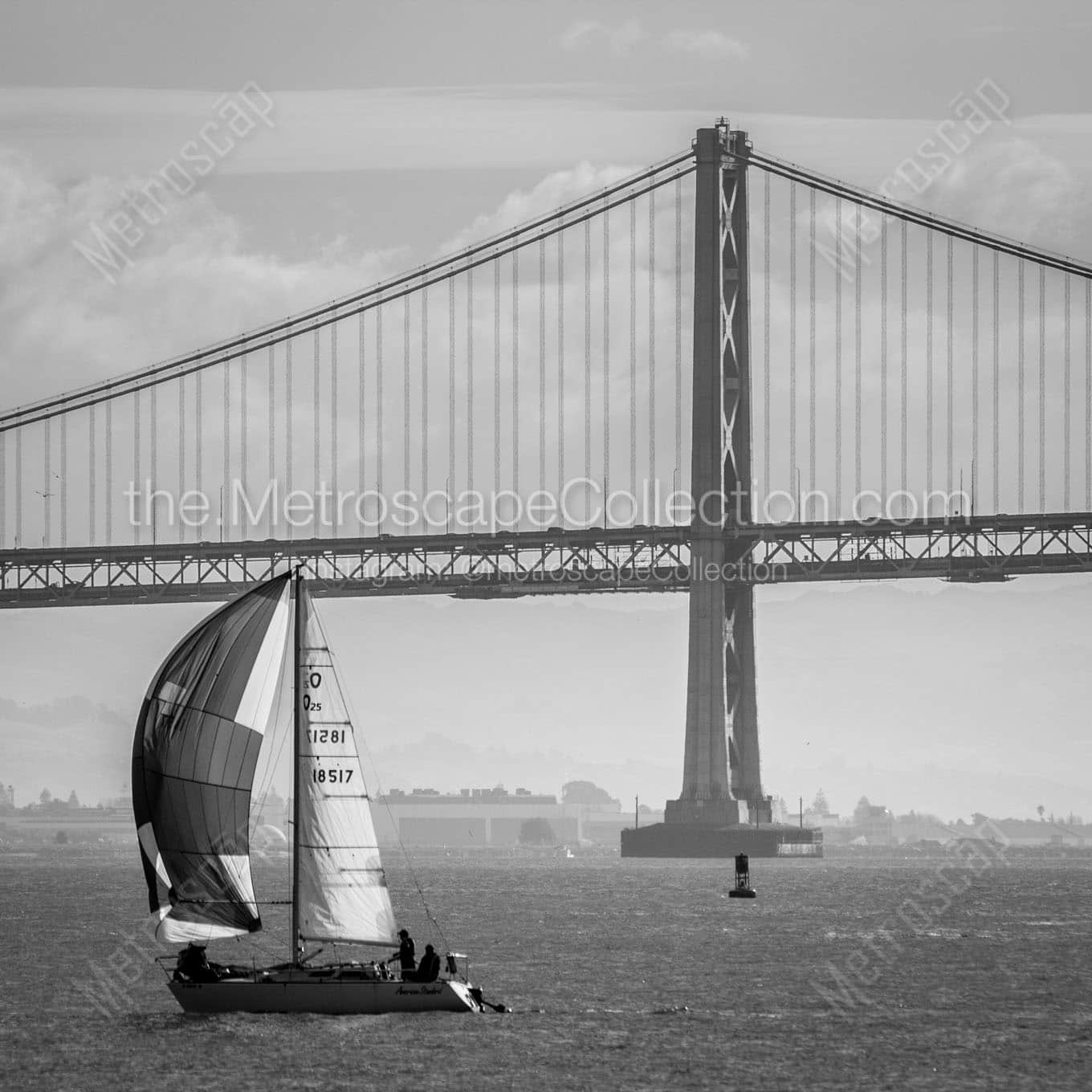 bay bridge and full sail boat Black & White Office Art