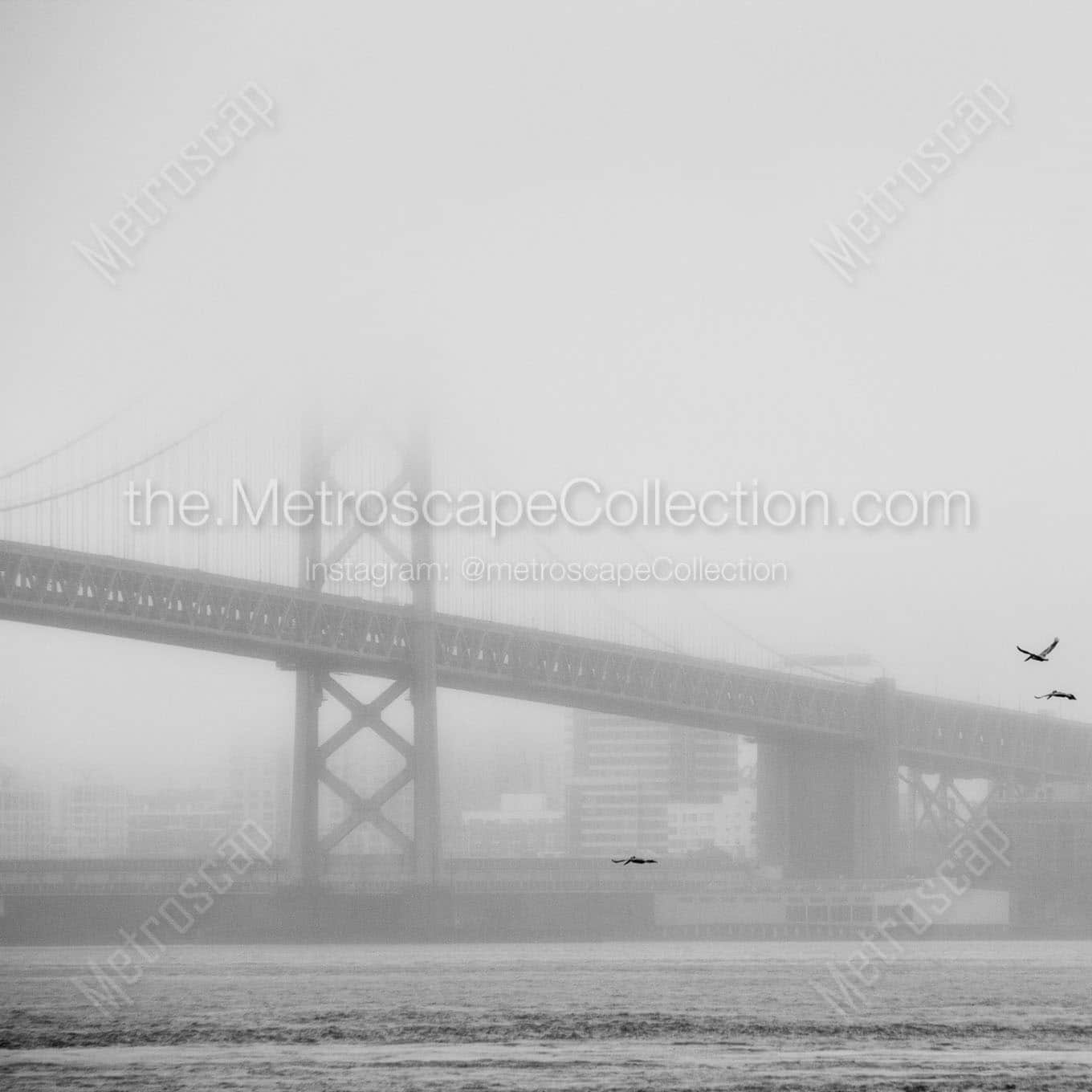 bay bridge dense fog Black & White Office Art