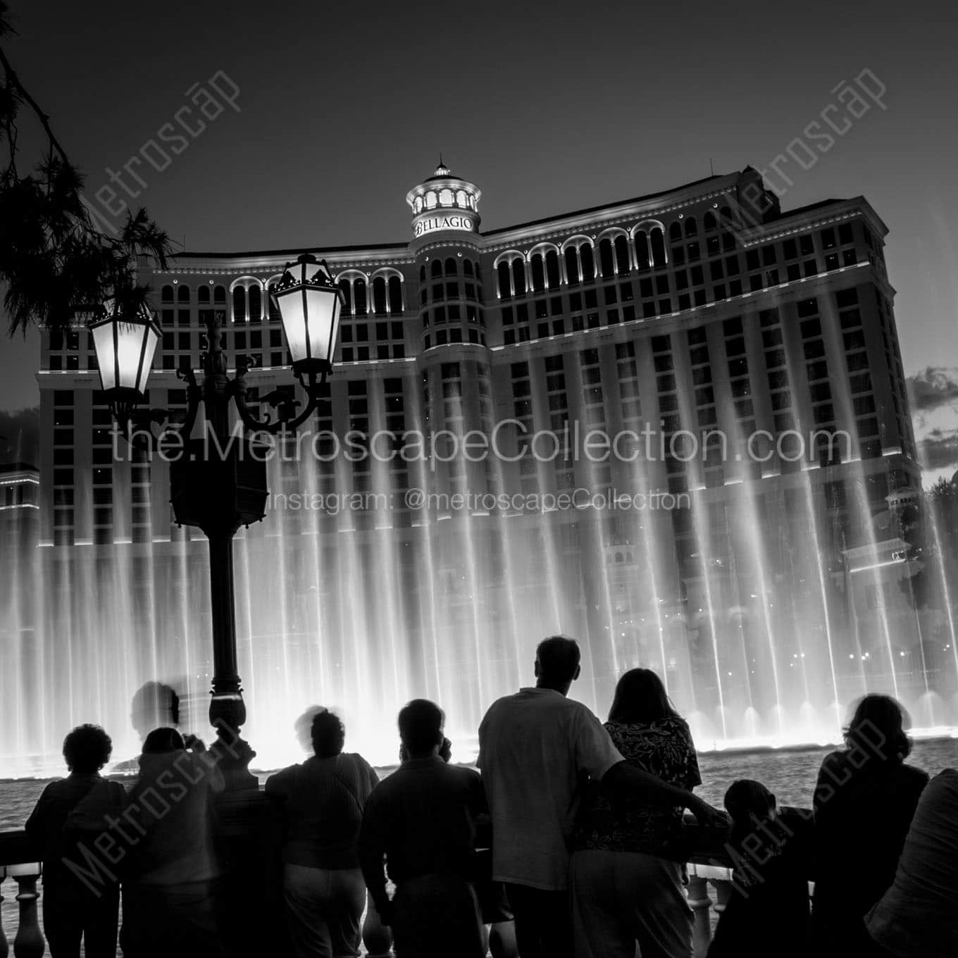 bellagio fountains vegas strip at night Black & White Office Art