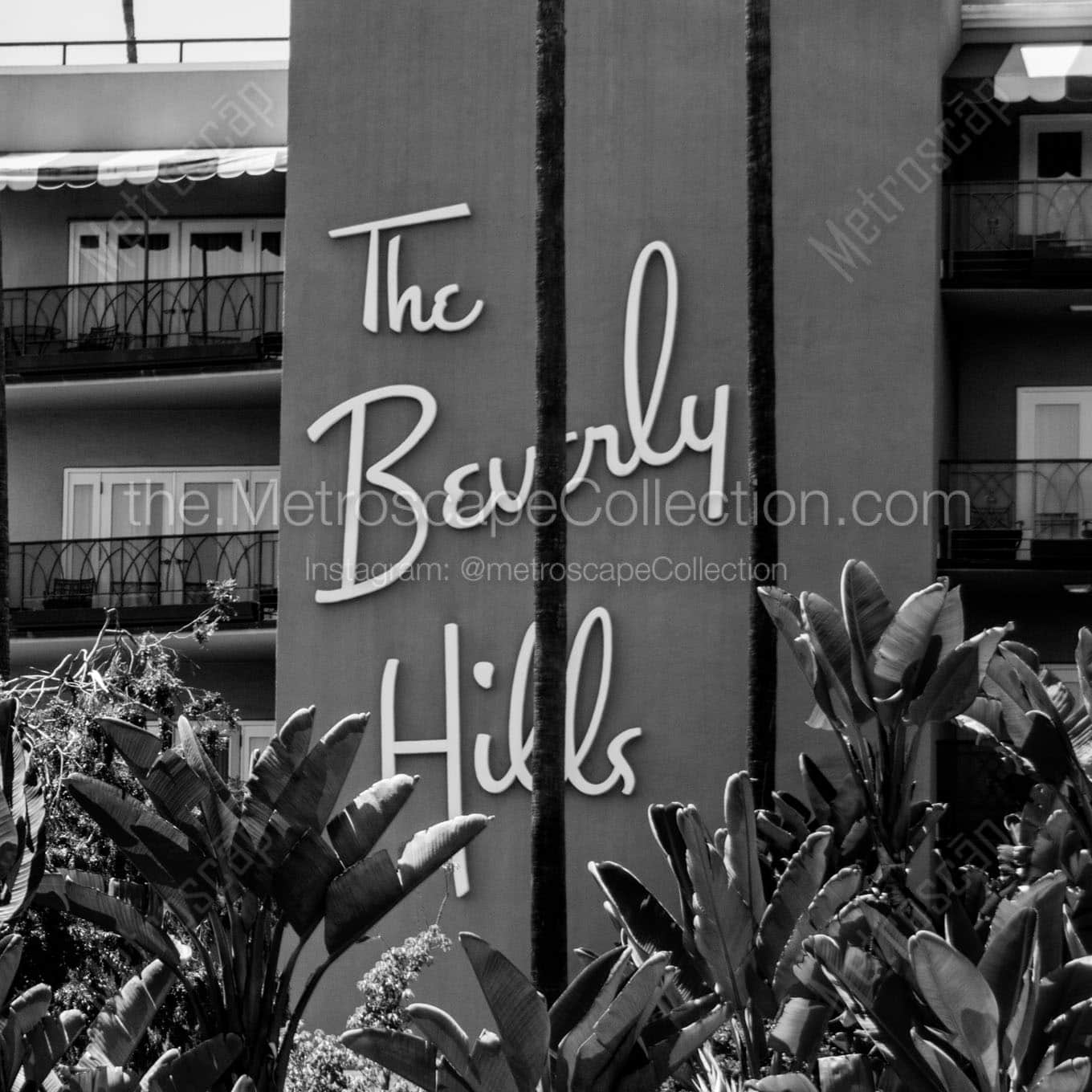 beverly hills hotel tropical foliage Black & White Office Art