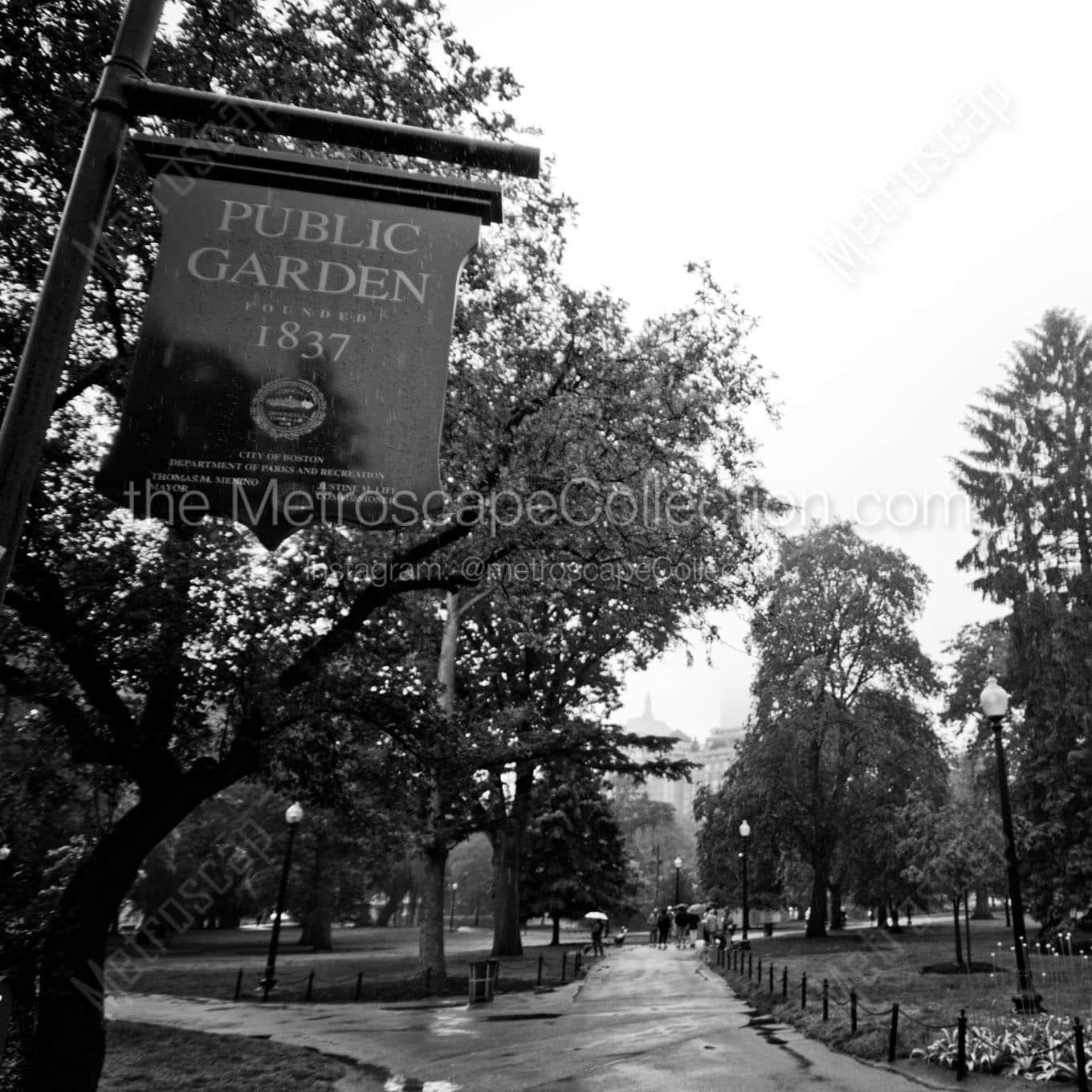 boston public garden Black & White Office Art