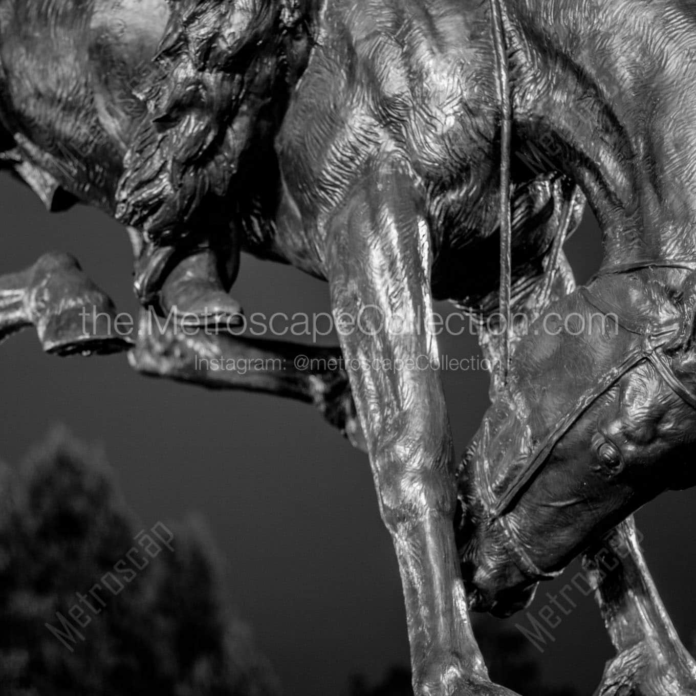 bronze bronco civic center park Black & White Office Art