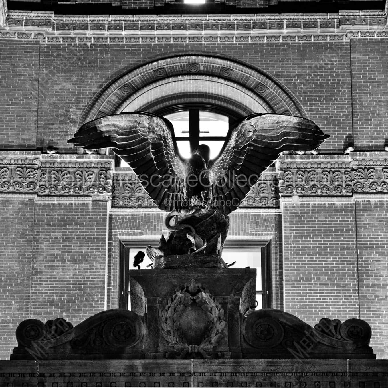 bronze eagle with spread open wings Black & White Office Art