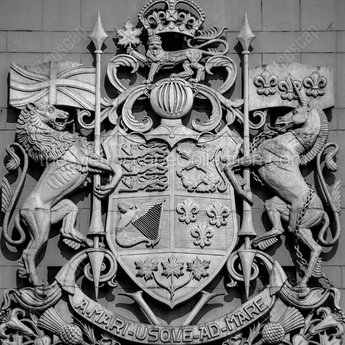 canada coat of arms Black & White Office Art