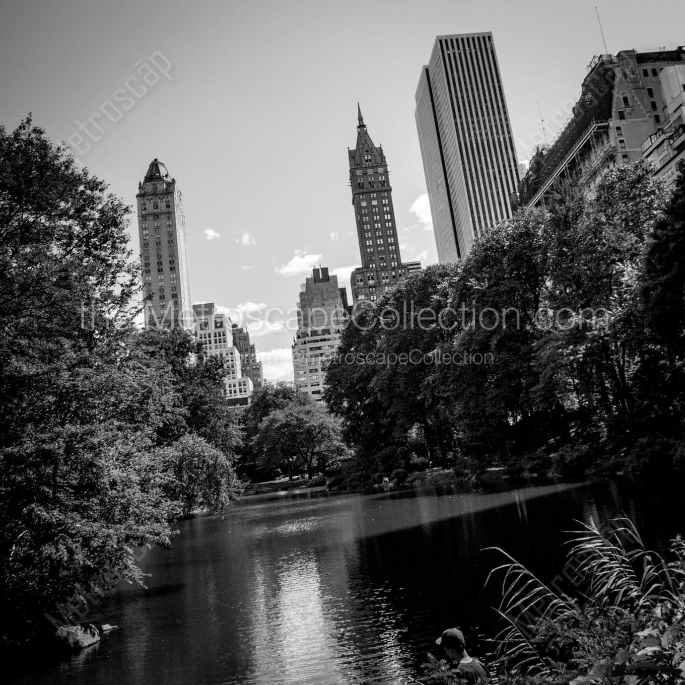 central park pond Black & White Office Art