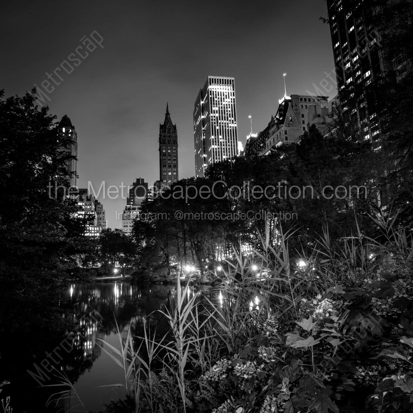 central park pond at night Black & White Office Art