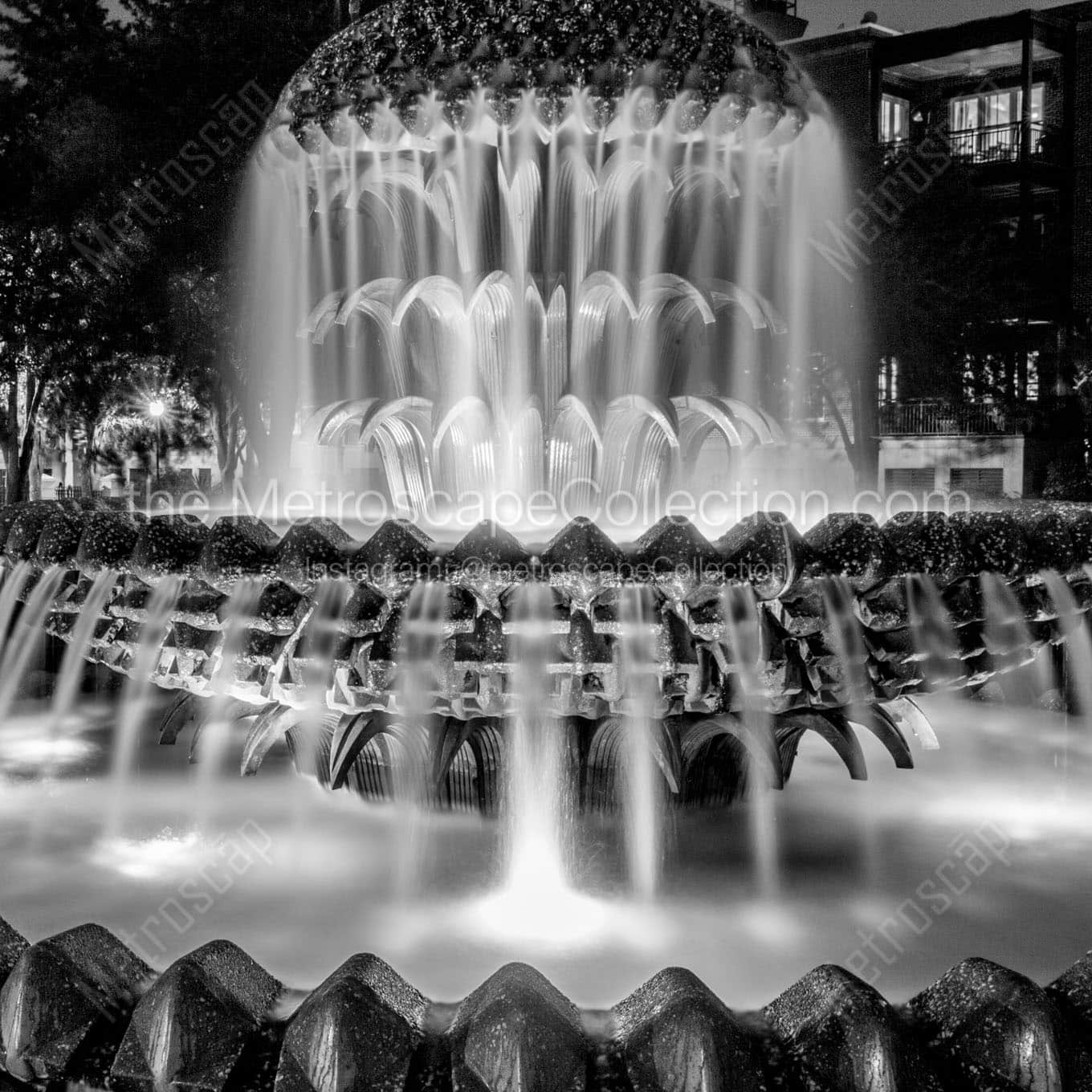 charleston sc pineapple fountain at night Black & White Office Art