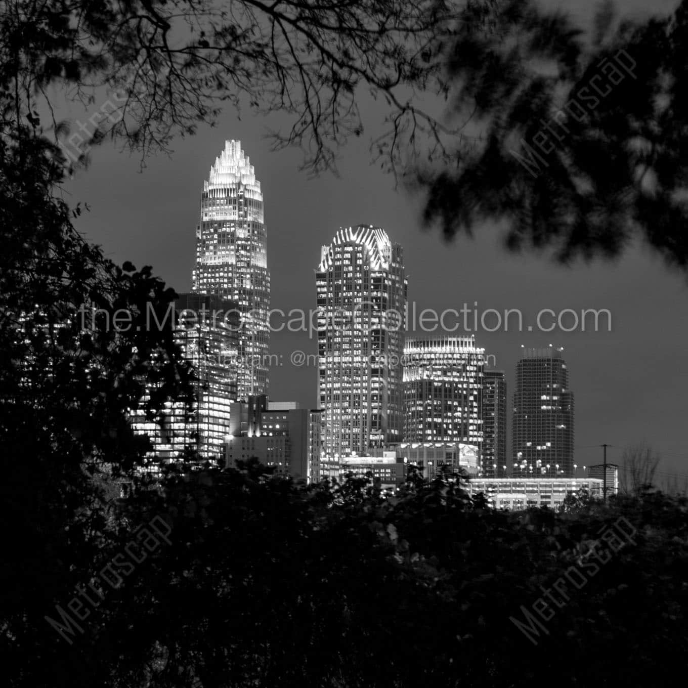 charlotte skyline at night Black & White Wall Art