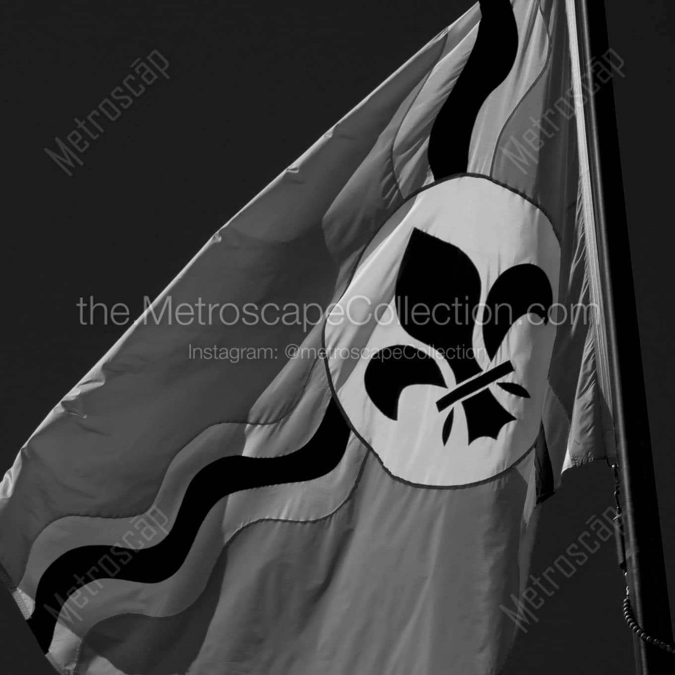 city of st louis flag Black & White Office Art