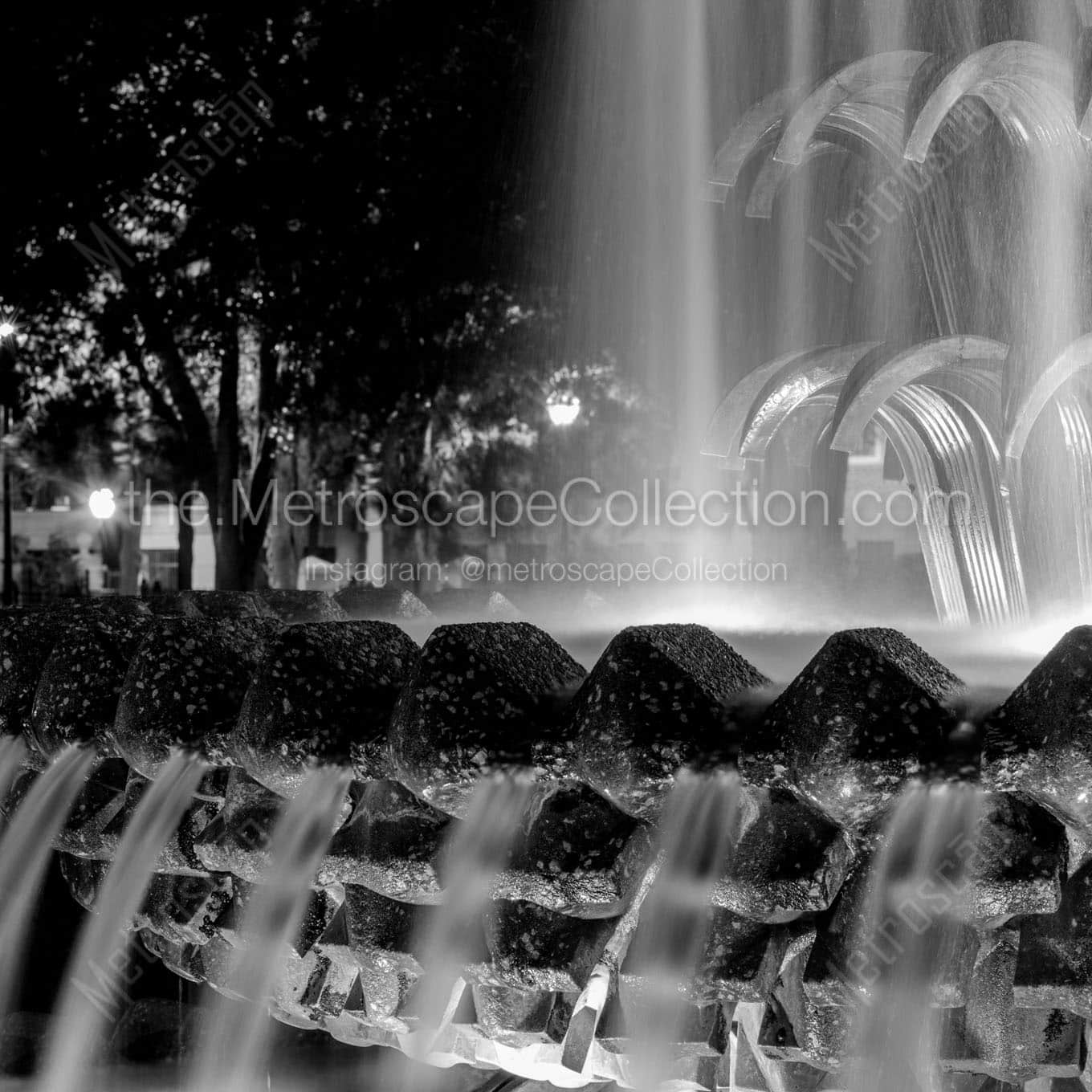 close up pineapple fountain Black & White Office Art