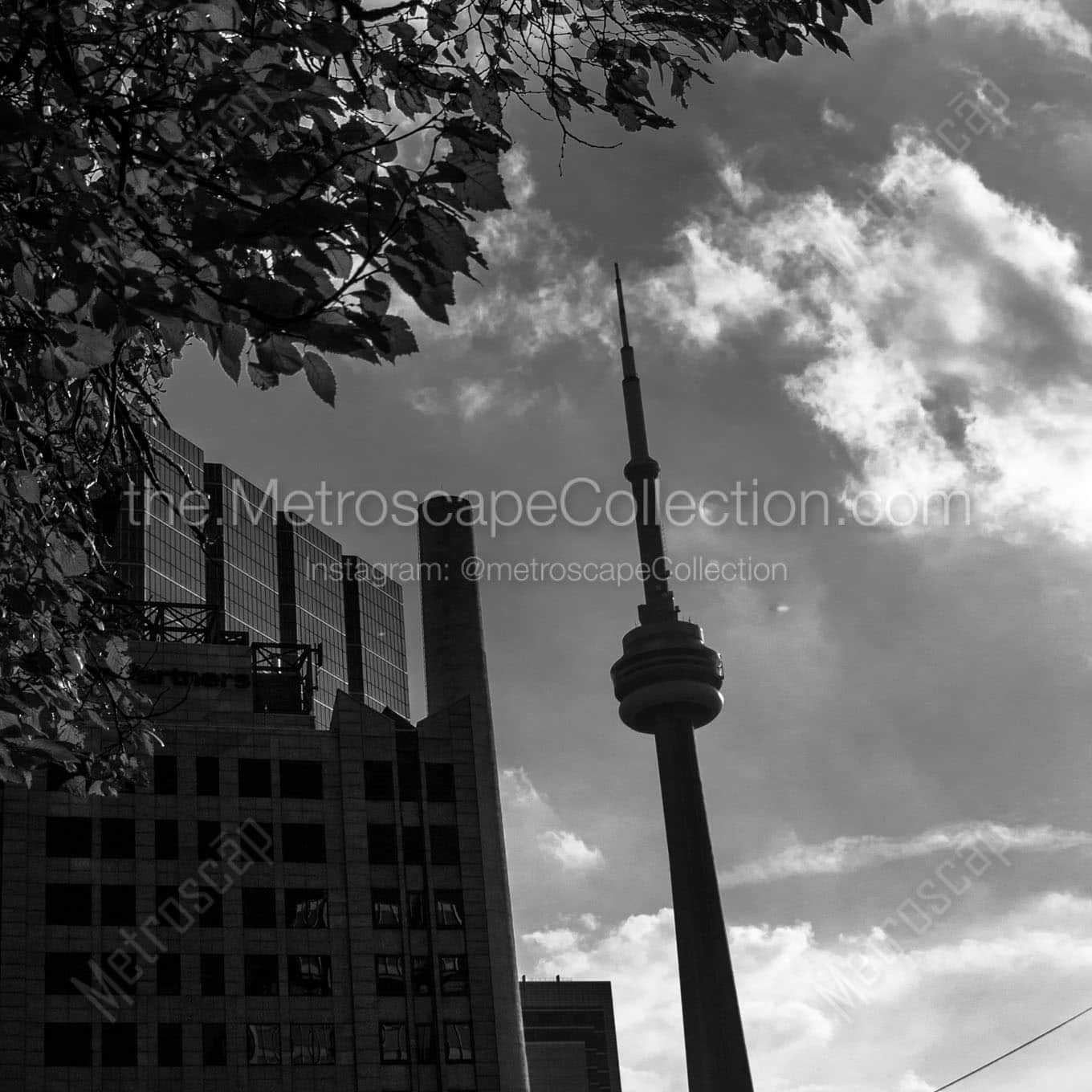 cn tower university avenue Black & White Office Art