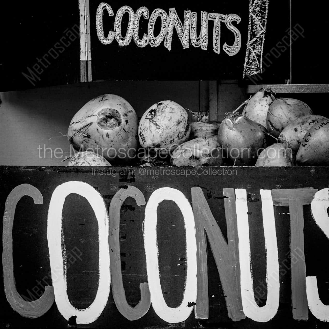 coconuts Black & White Office Art