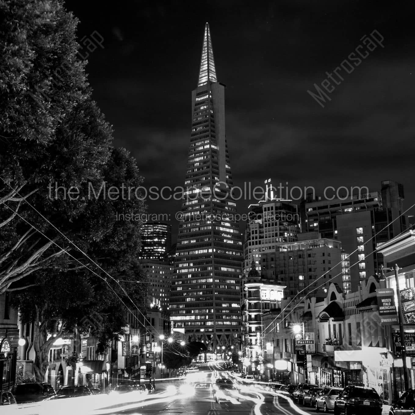 columbus drive night transamerica tower Black & White Office Art