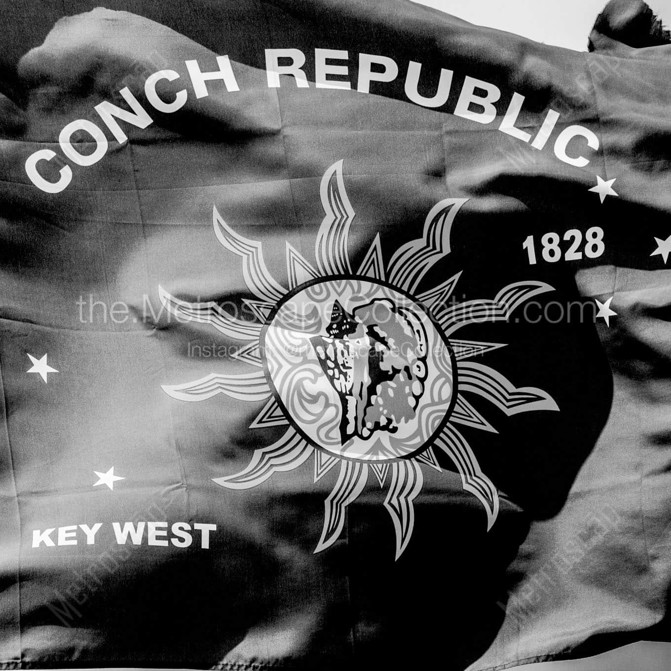conch republic flag Black & White Office Art