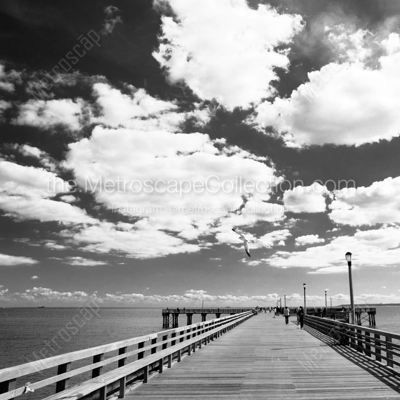 coney island pier Black & White Office Art