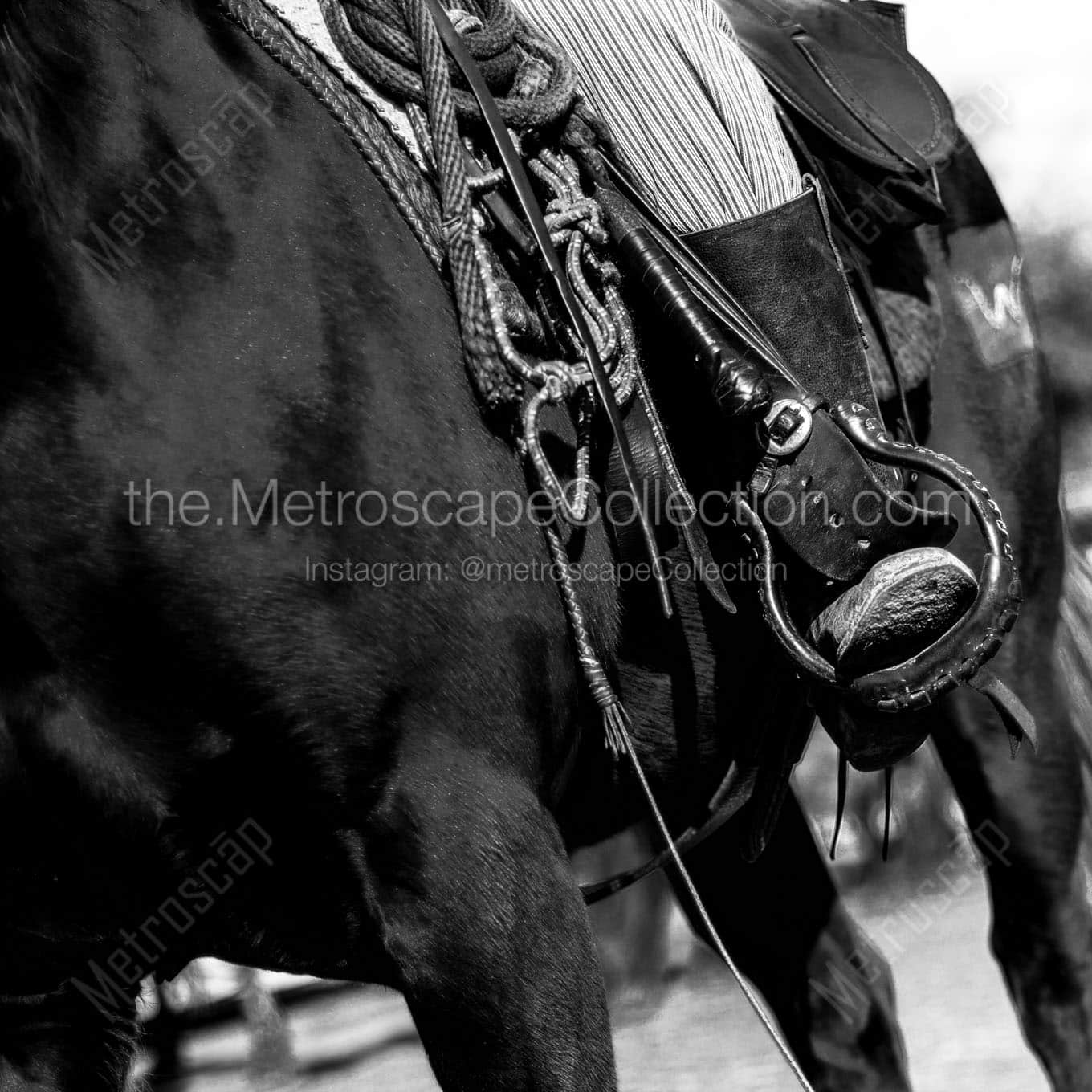 cowboy horse tackle Black & White Office Art