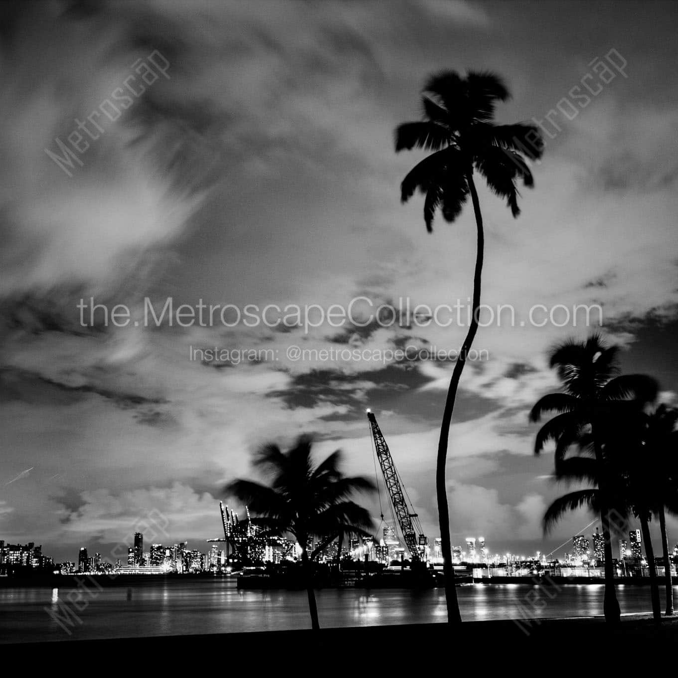 downtown miami at night Black & White Office Art