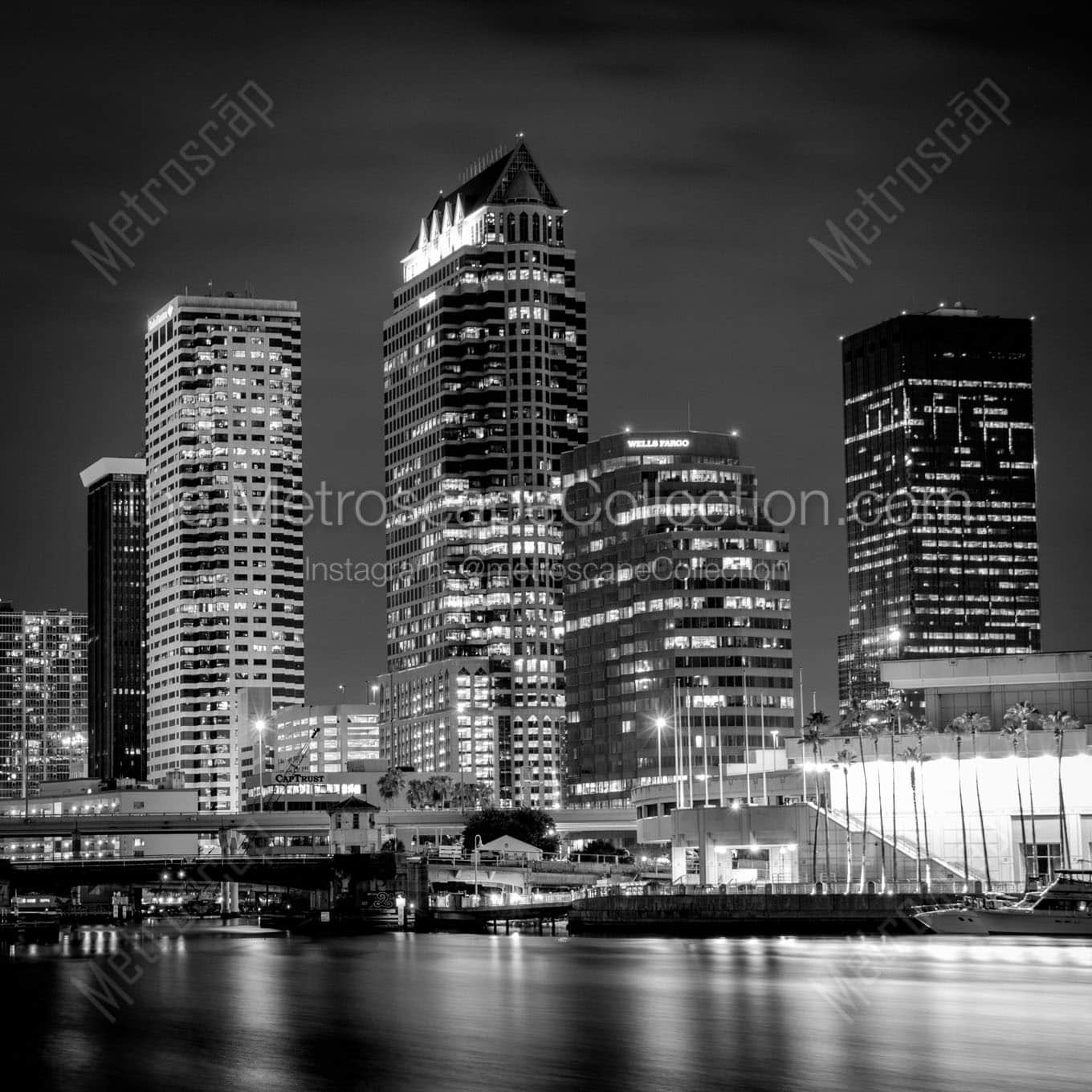 downtown tampa florida city skyline at night Black & White Office Art
