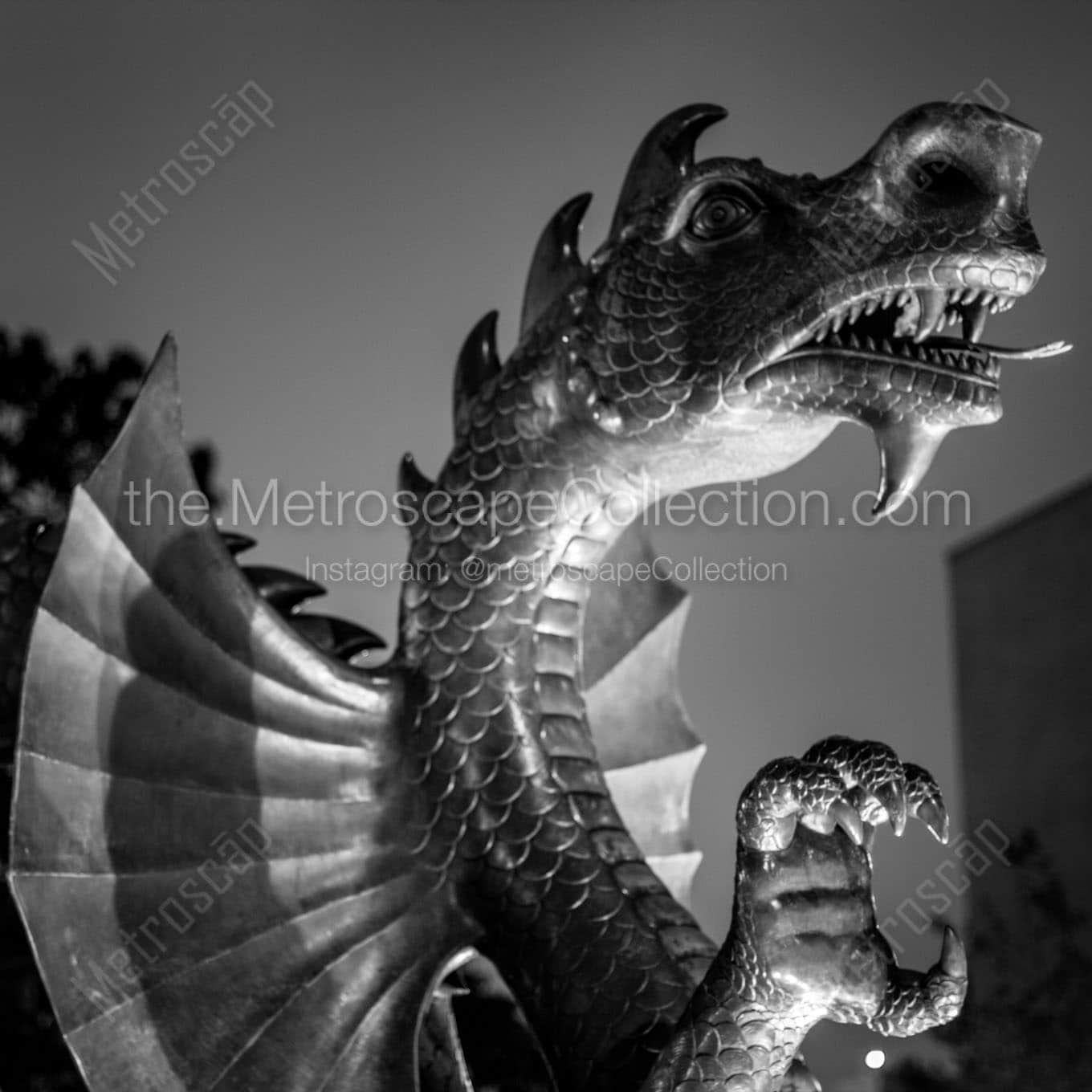 drexel dragon Black & White Office Art