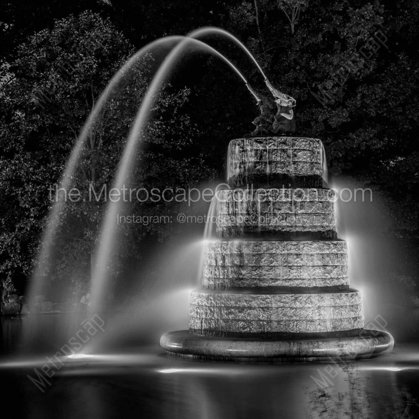 elephant fountain goodale park Black & White Office Art