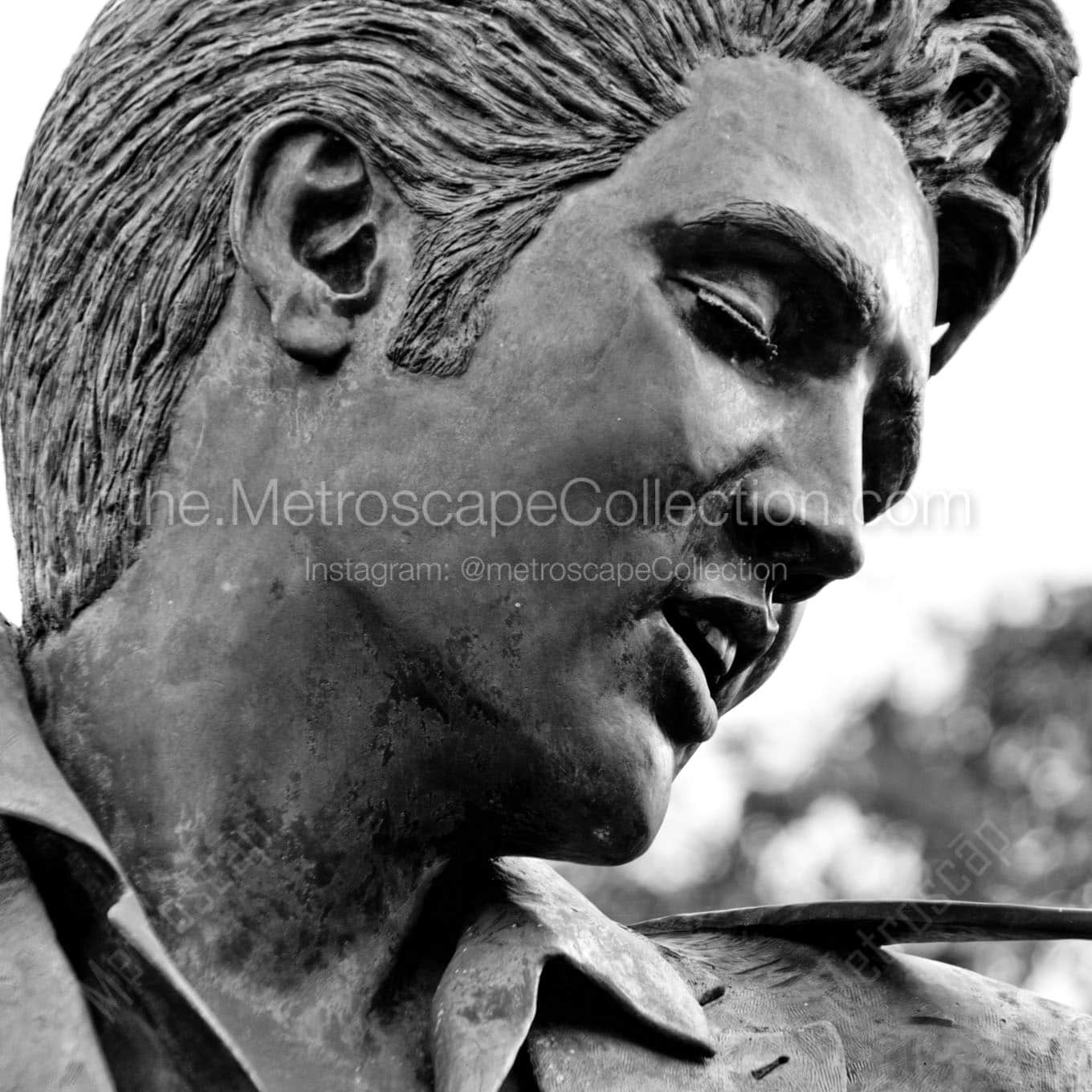 elvis presley statue Black & White Office Art