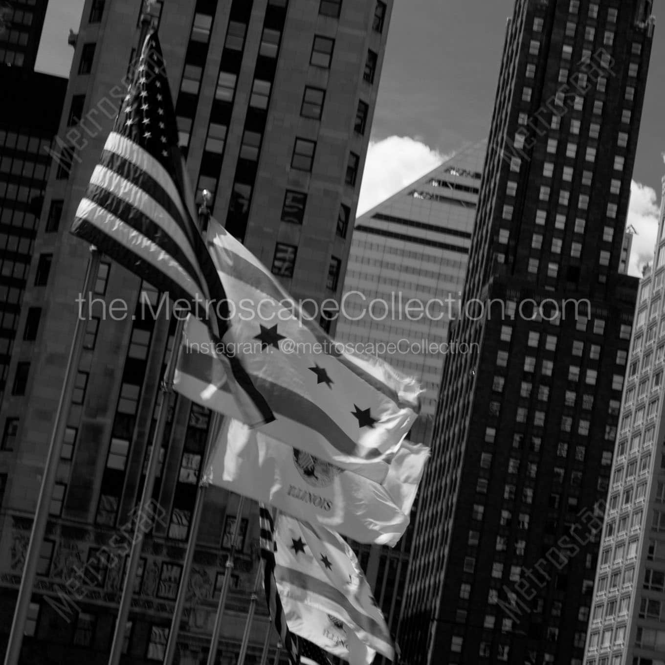 flags along michigan avenue bridge Black & White Office Art