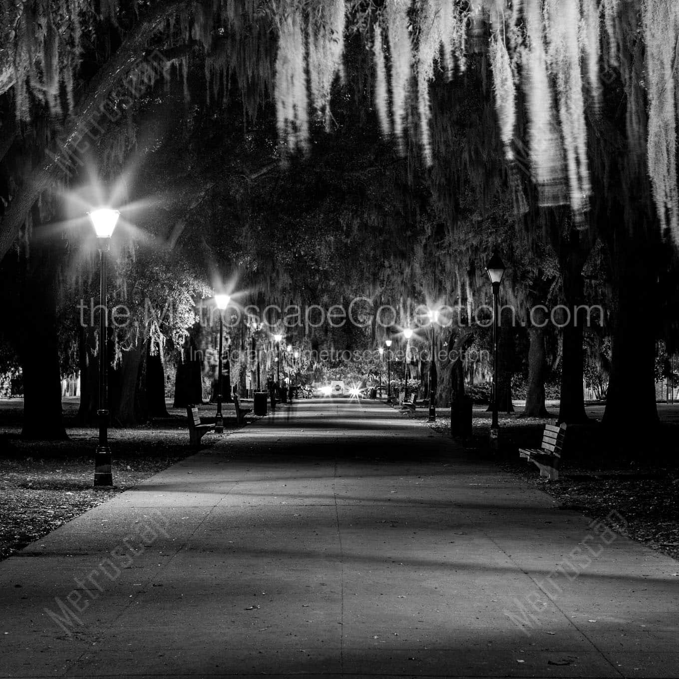 forsyth park central path Black & White Office Art