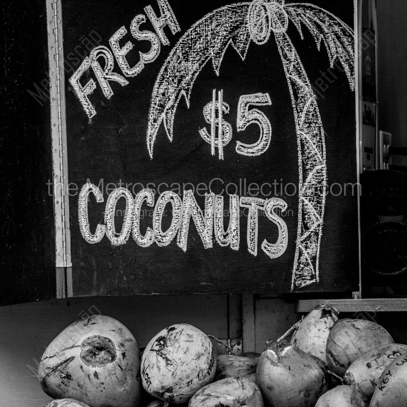 fresh coconuts Black & White Office Art