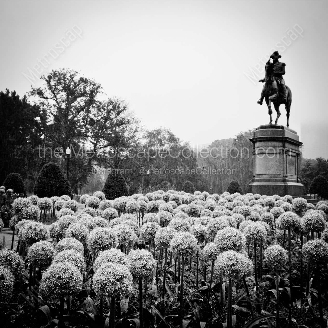 george washington statue public garden Black & White Office Art