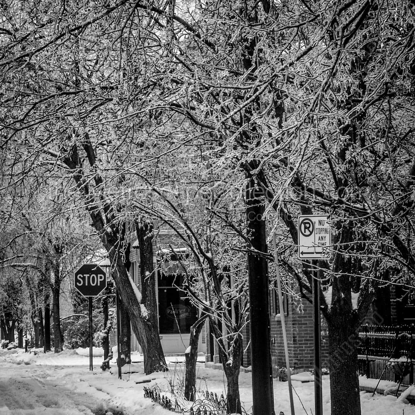 german village ice storm trees Black & White Office Art