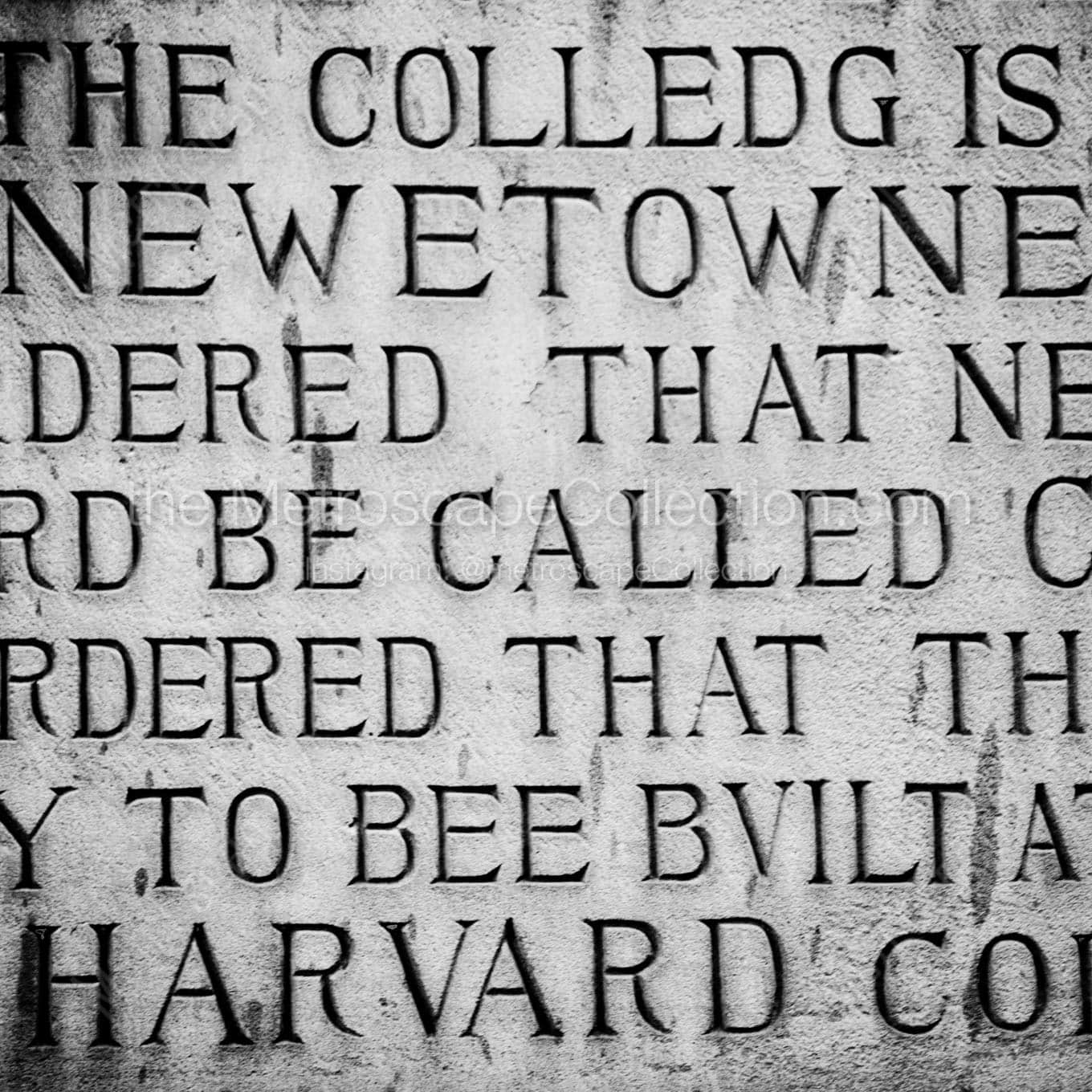 harvard dedication inscription Black & White Office Art