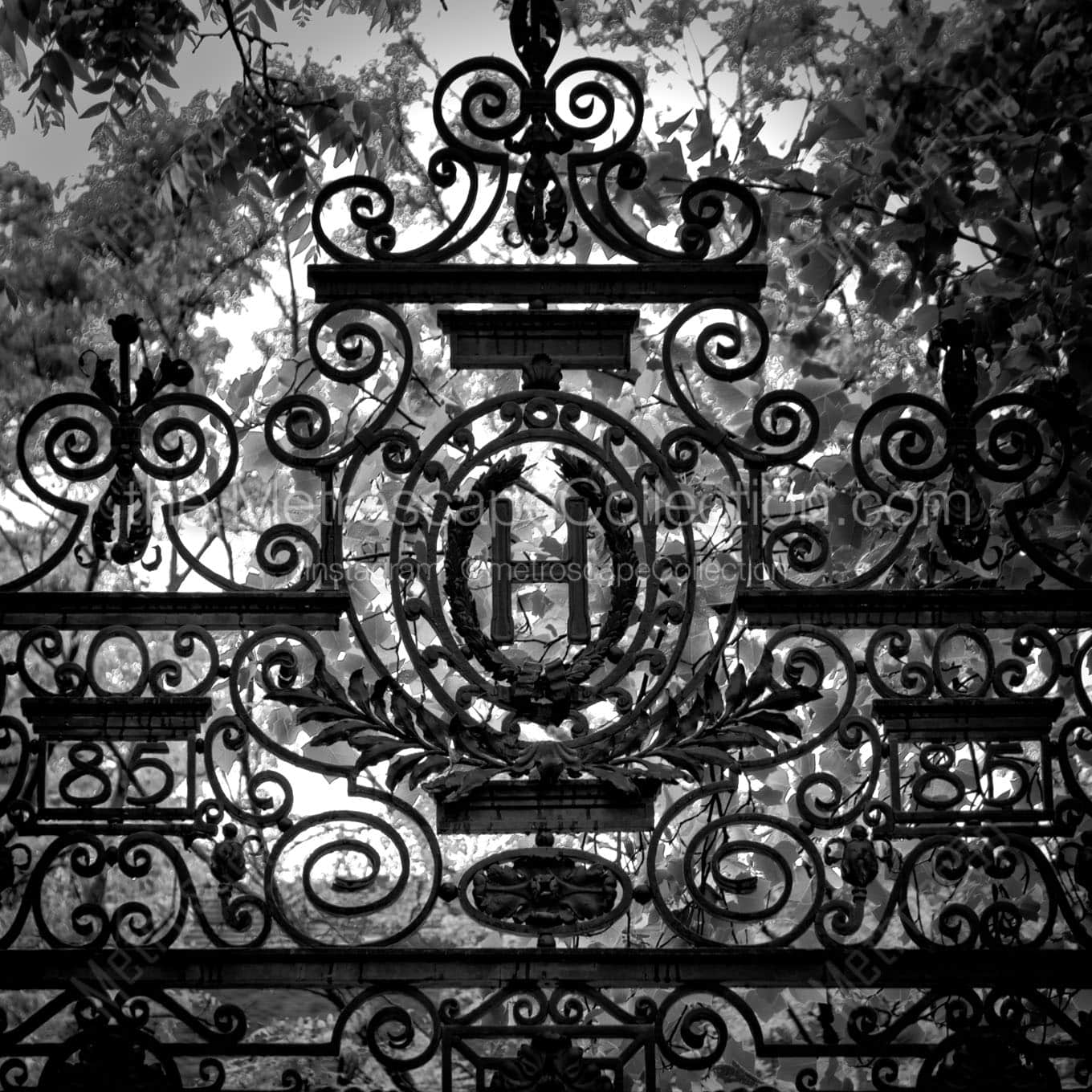 harvard gate Black & White Office Art