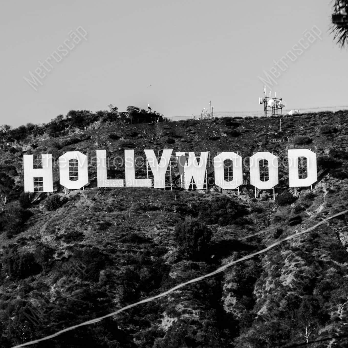 hollywood sign Black & White Office Art