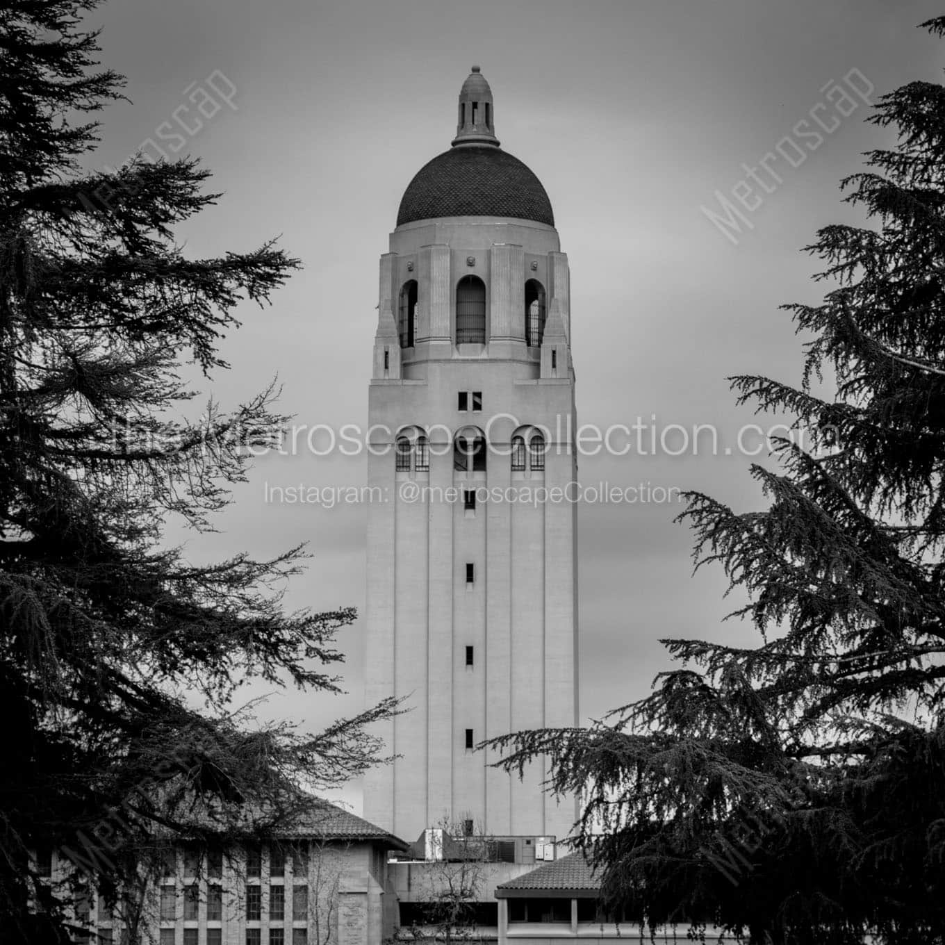 hoover tower stanford campus Black & White Office Art