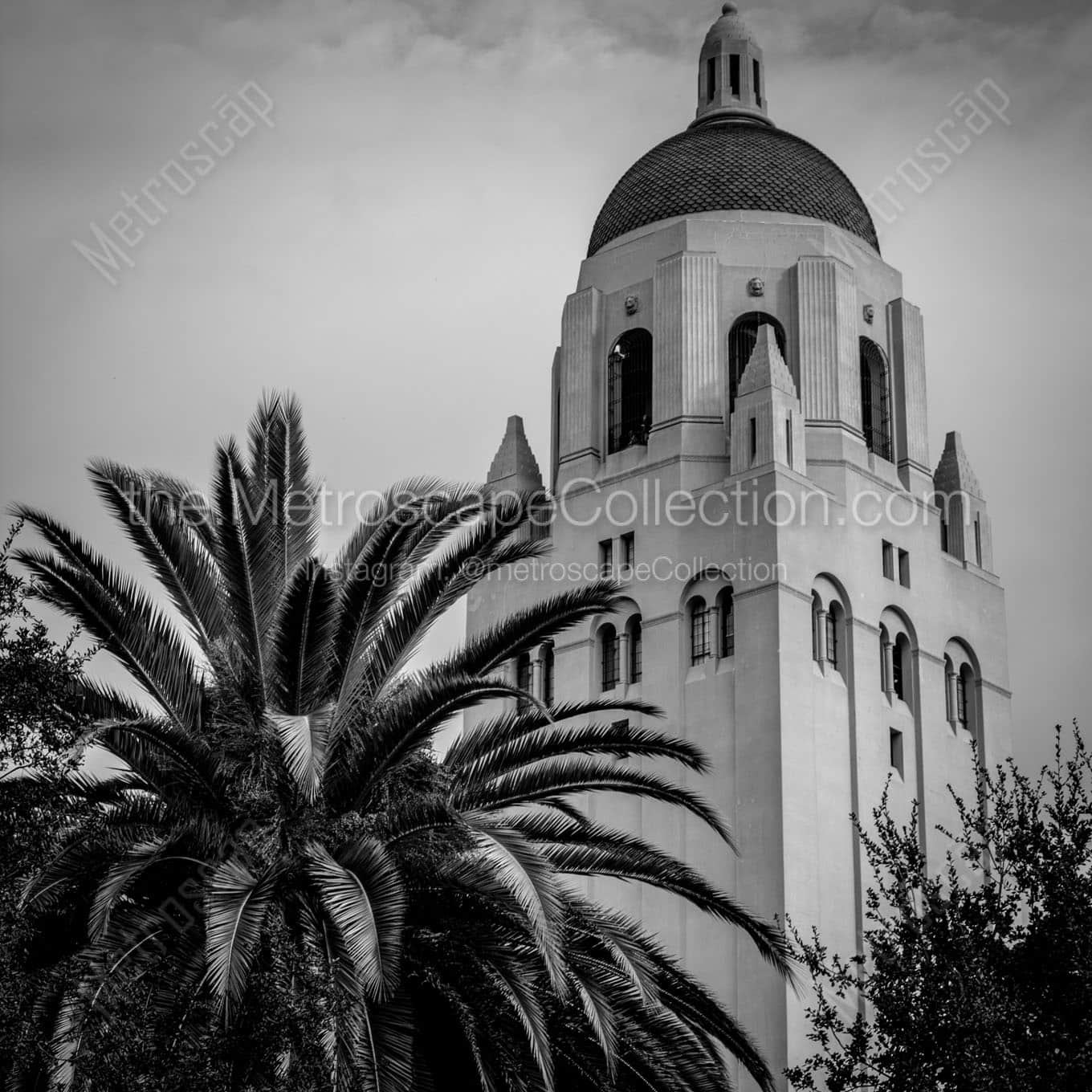 hoover tower stanford university campus Black & White Office Art