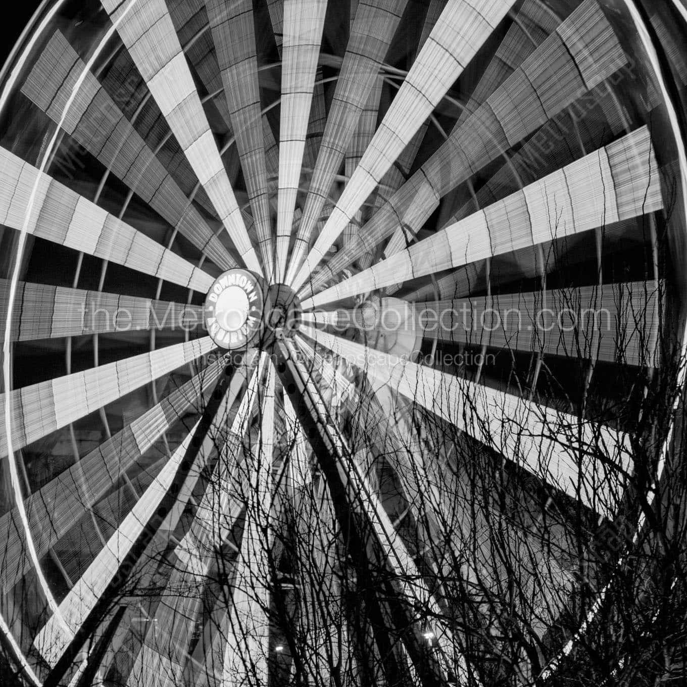 houston aquarium ferris wheel Black & White Wall Art