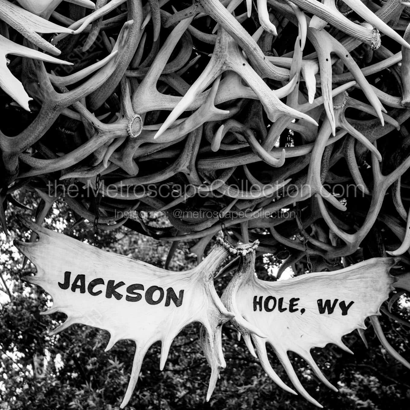 jackson hole antler arch Black & White Office Art