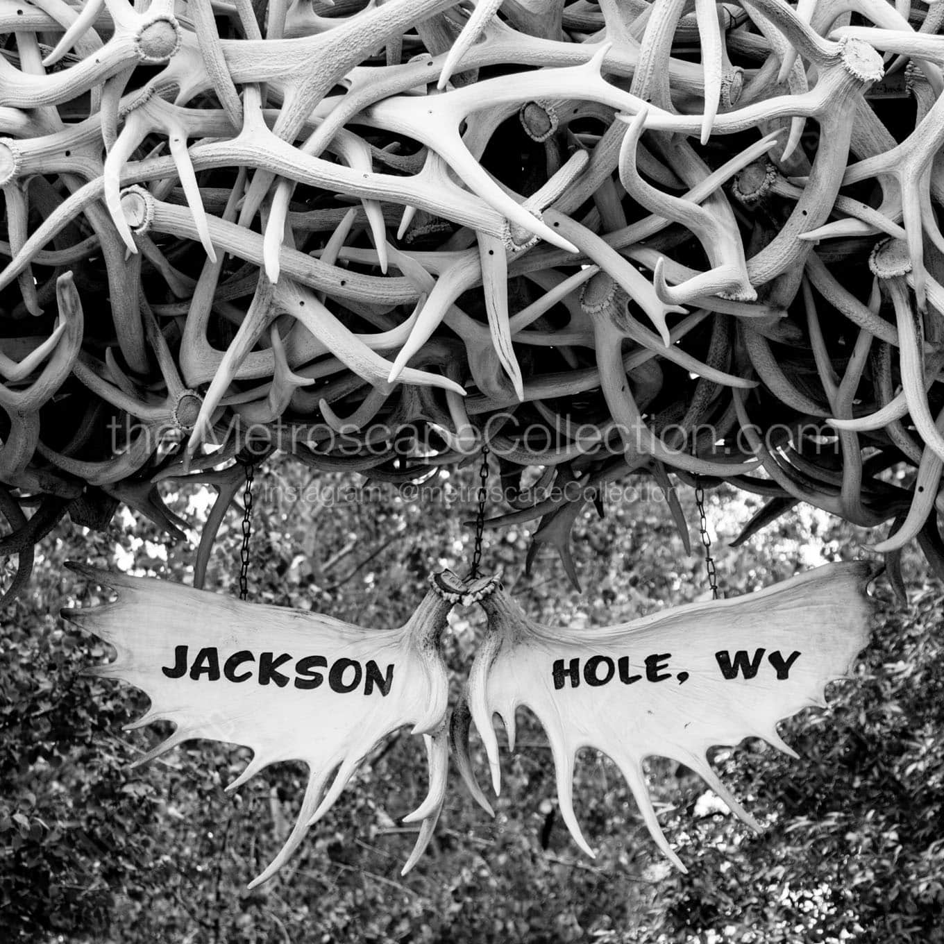 jackson hole wyoming antler arch Black & White Office Art