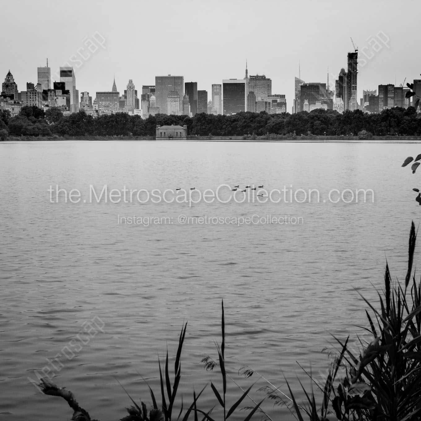 jaqueline kennedy onassis reserveoir Black & White Office Art