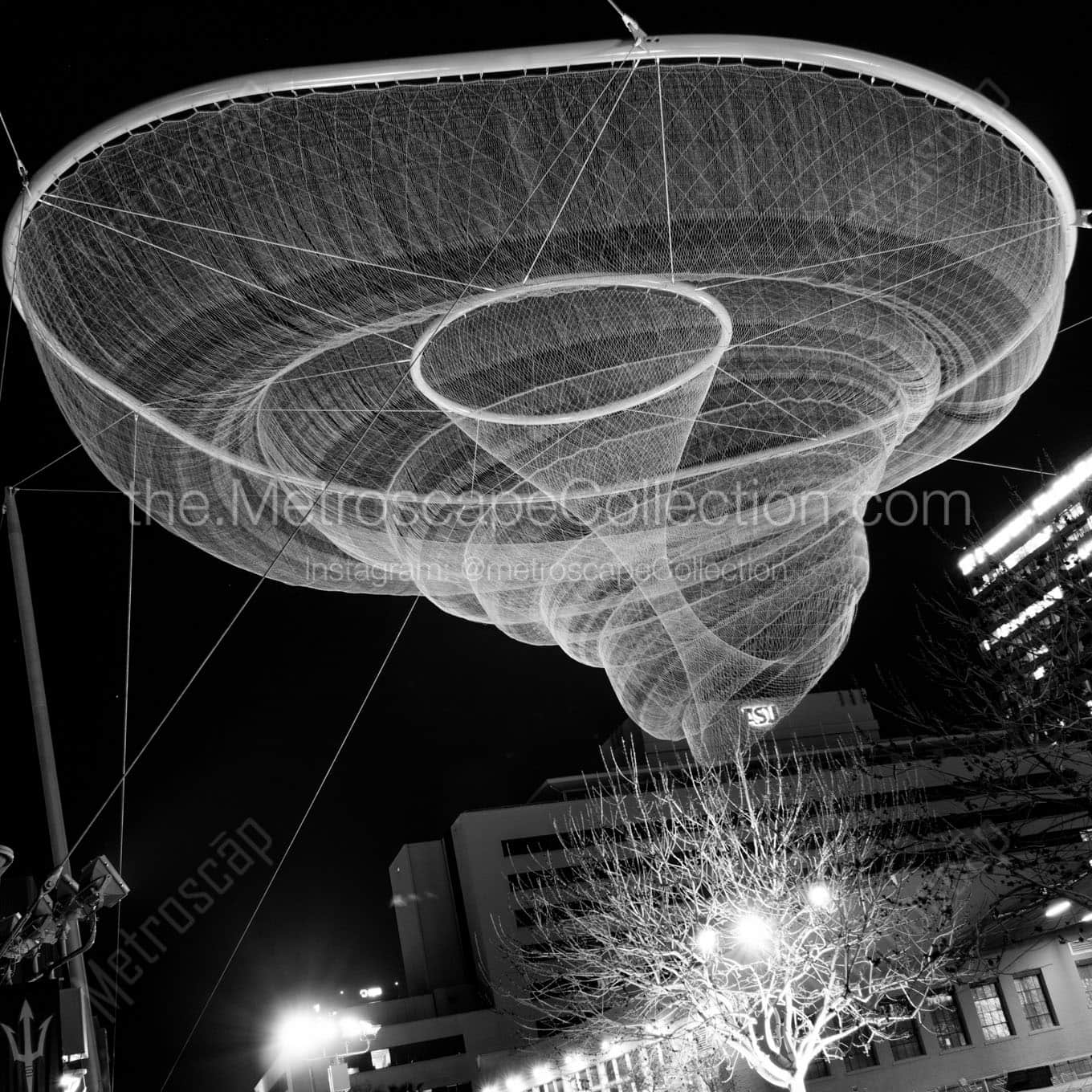jellyfish civic space park Black & White Office Art