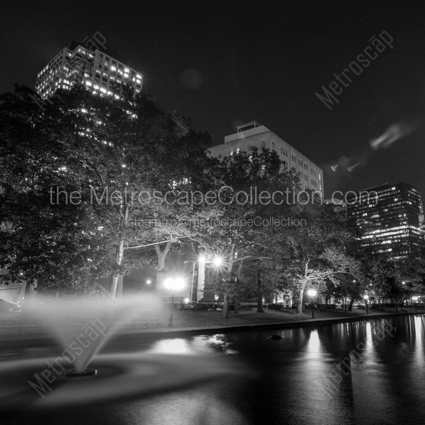 lily pond bushnell park Black & White Office Art