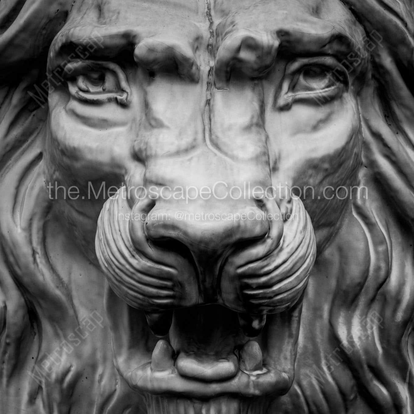 lion building temple square Black & White Office Art