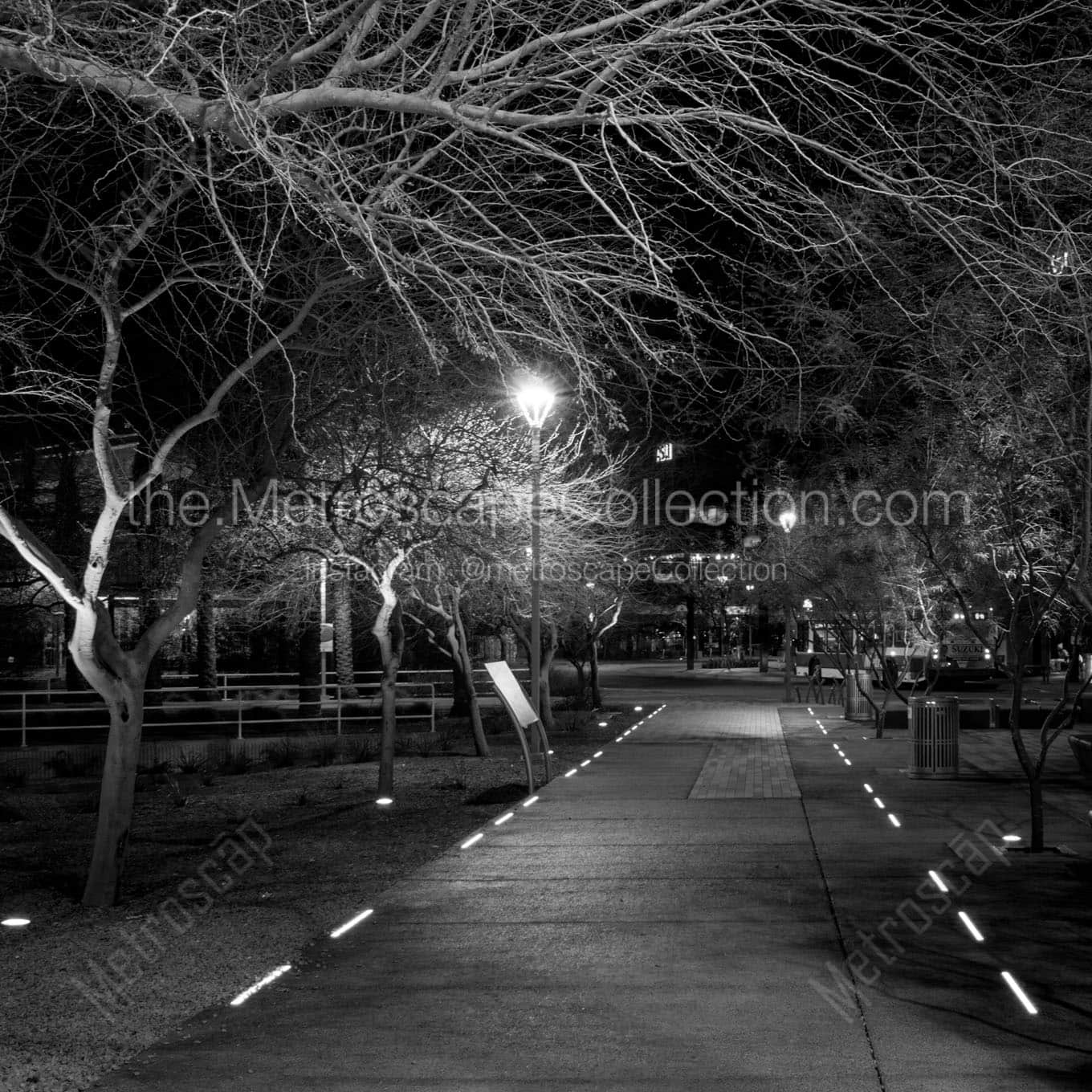 lit path near phoenix central station Black & White Office Art